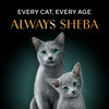 Sheba Complete Nutrition Succulent Chicken Breast In Gravy Cat Wet Food Cats-Wet Food Sheba