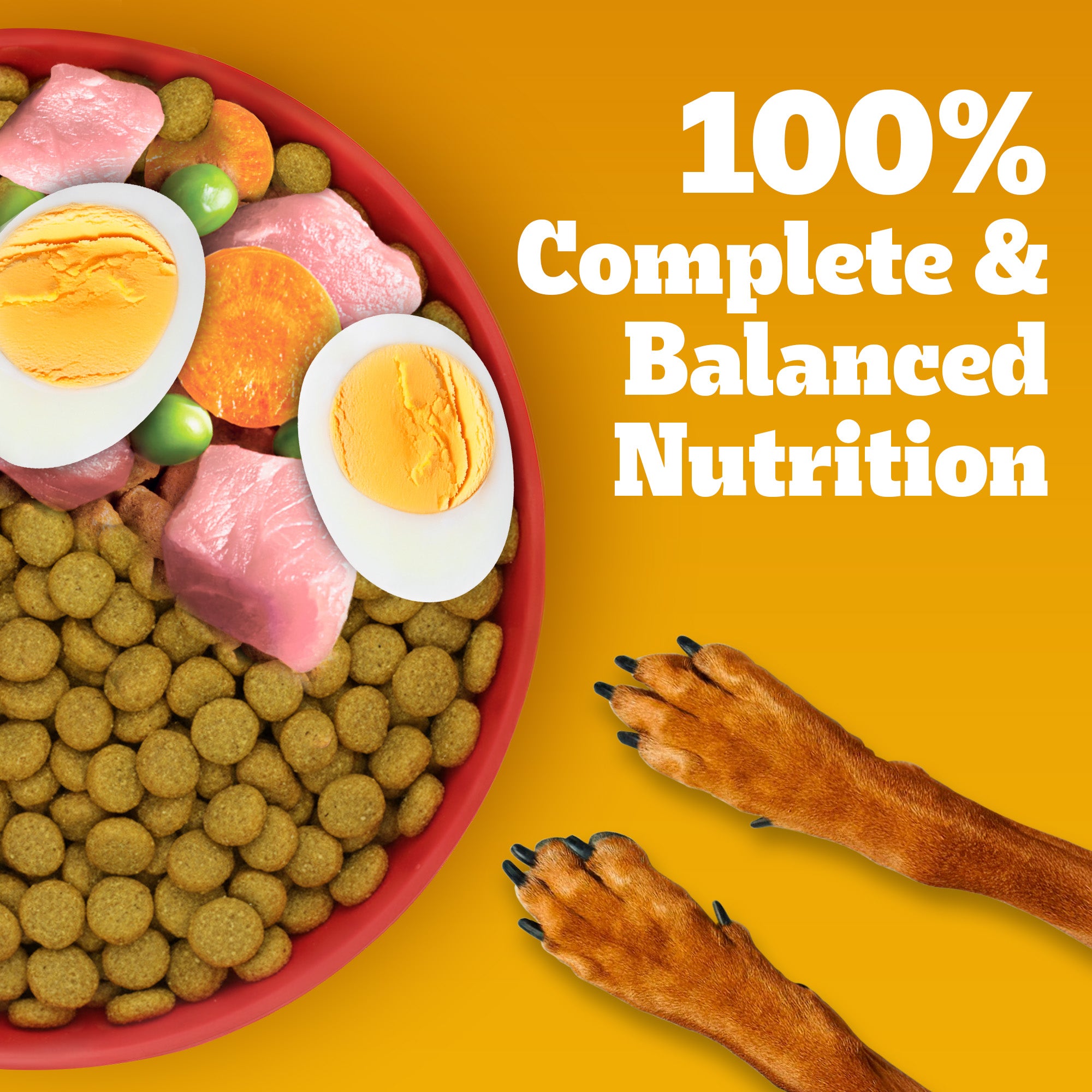 Pedigree Chicken, Egg and Rice Adult Dog Dry Food Dogs- Dry Food Pedigree