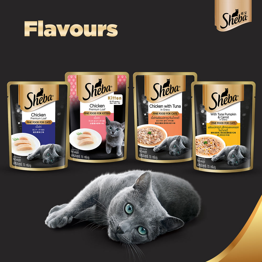 Sheba Tuna Pumpkin & Carrot In Gravy Rich Premium Adult Fine Cat Wet Food