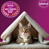 Whiskas Ocean Fish Flavour Adult Cat Dry Food Cats- Dry food Whiskas