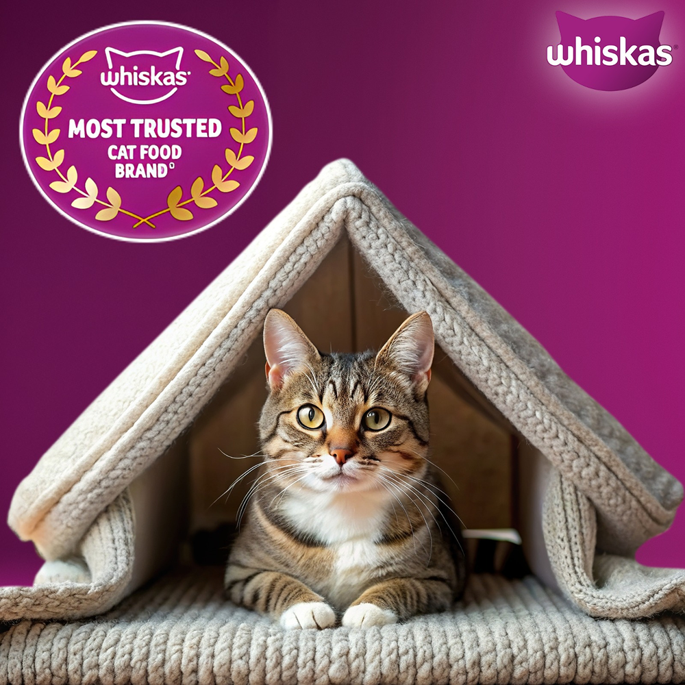 Whiskas Adult Complete Meal Combo |Tuna Dry & Wet Cat Food Cats- Dry food Whiskas