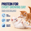 Kitty Yum Tuna Mousse Kitten Cat Wet Food Cats-Wet Food Kitty Yums