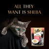 Sheba Chicken Loaf Rich Premium Kitten (2 to 12 Months) Fine Cat Wet Food Cats-Wet Food Sheba