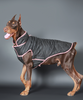 Pet Set Go Wind Sheeter Jackets for Dogs (Black) Dogs-Clothing & Accessories Pet Set Go Dropship