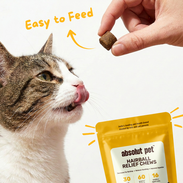 Absolut Pet Hairball Relief Chews Supplements for Cats