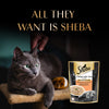 Sheba Chicken With Tuna In Gravy Rich Premium Adult Fine Cat Wet Food Cats-Wet Food Sheba