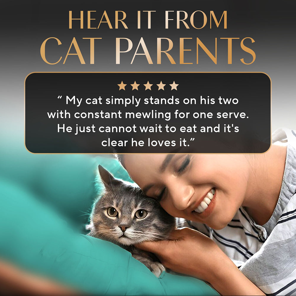 Sheba Fish with Dry Bonito Flake Premium Cat Wet Food Cats-Wet Food Sheba