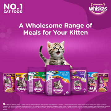 Whiskas Ocean Fish and Tuna in Jelly Kitten Dry and Wet Food Combo