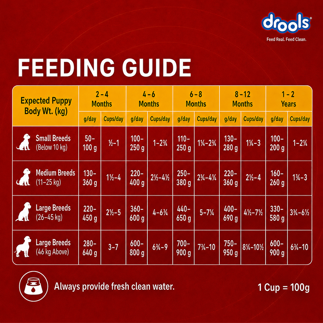 Drools Chicken and Egg Puppy Dog Dry Food Dogs- Dry Food Drools