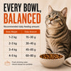 Signature Grain Zero Mackerel Adult Cat Dry Food For All Breed Cats- Dry food Signature