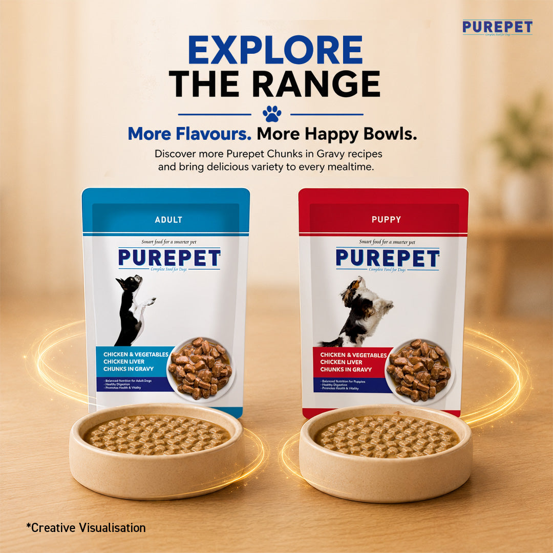 Purepet Chicken & Vegetable Chunks in Gravy Adult Dog Wet Food Dogs-Wet Food Purepet