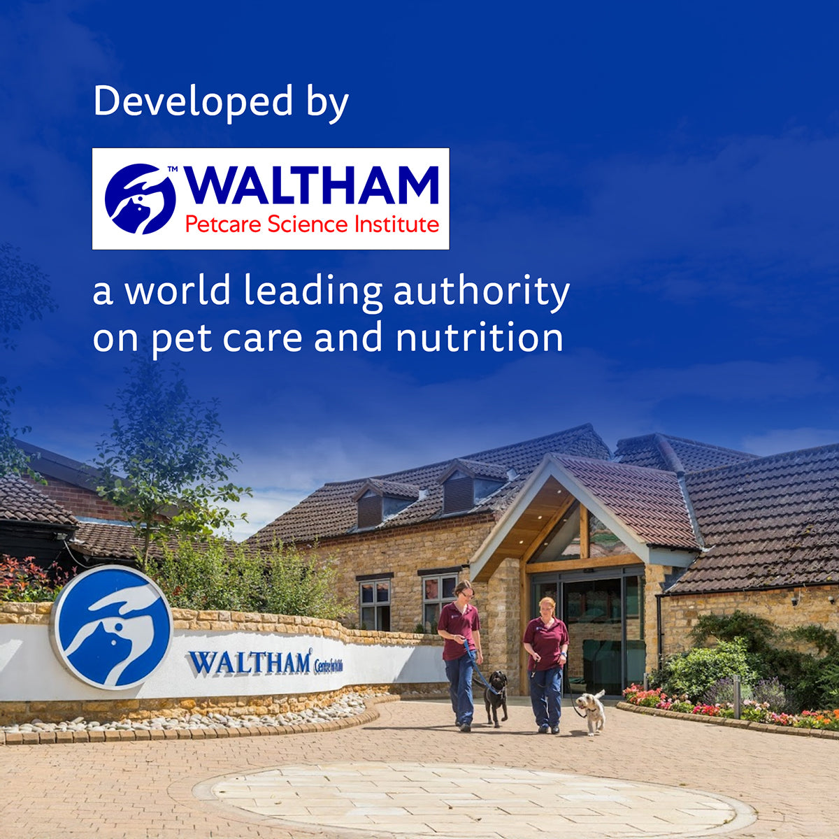 Pedigree Dentastix Oral Care for Adult (Large Breed of 25 kg+) Dog Treats