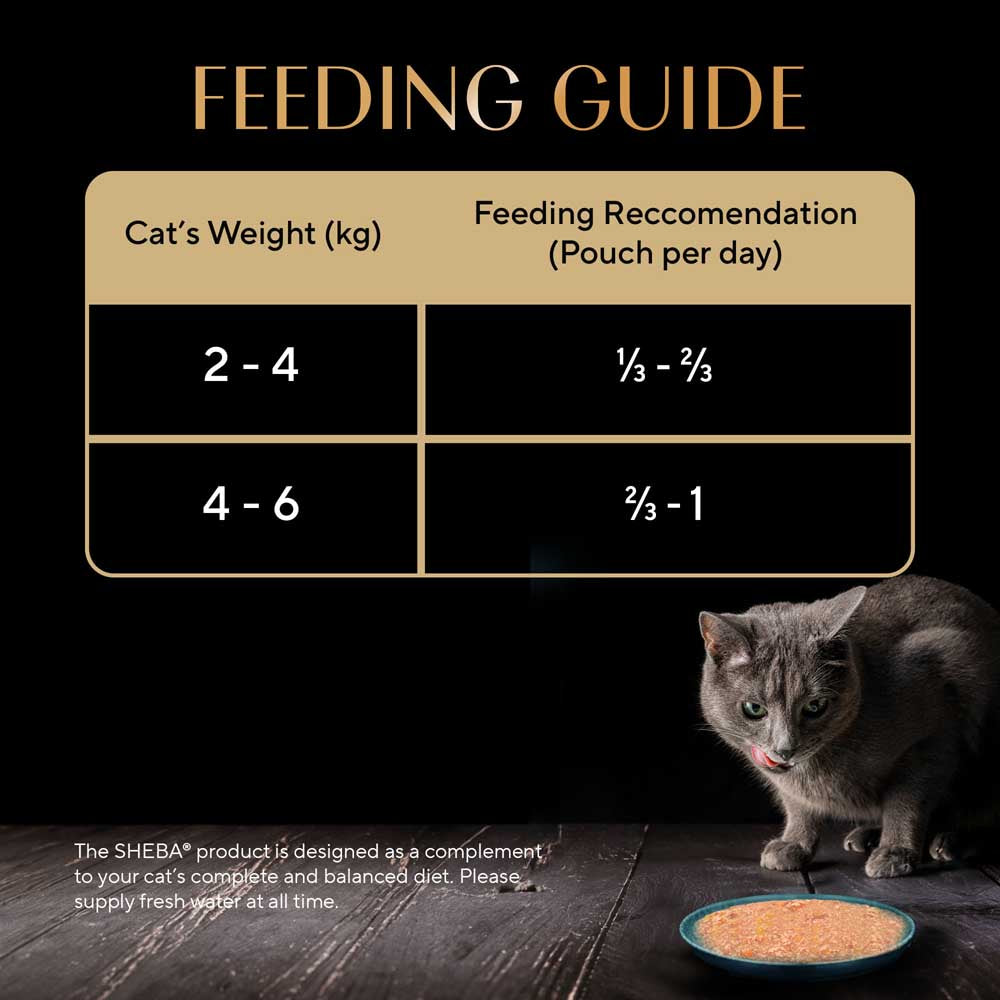 Sheba Tuna Pumpkin & Carrot In Gravy Rich Premium Adult Fine Cat Wet Food Cats-Wet Food Sheba