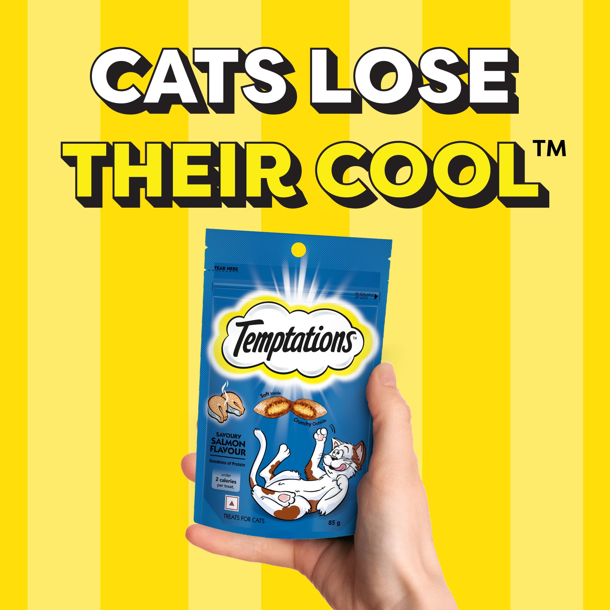 Temptations Savoury Salmon Flavour Cat Treats