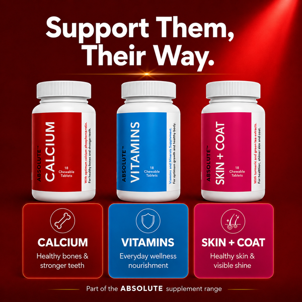 Drools Absolute Calcium Dog Supplement Tablets