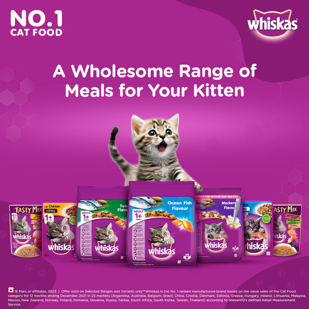 Whiskas Ocean Fish Kitten/Mother and Baby Cat Dry Food