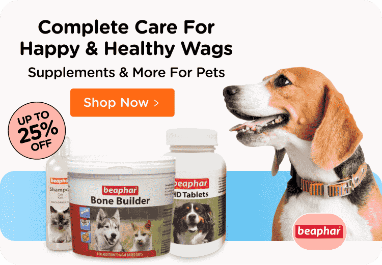 Online Pet Shop Live Animals