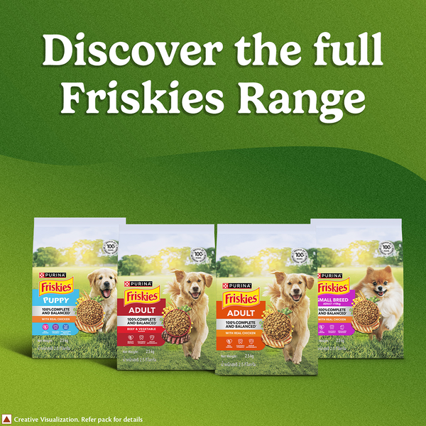 Purina Friskies Chicken Adult Dog Dry Food