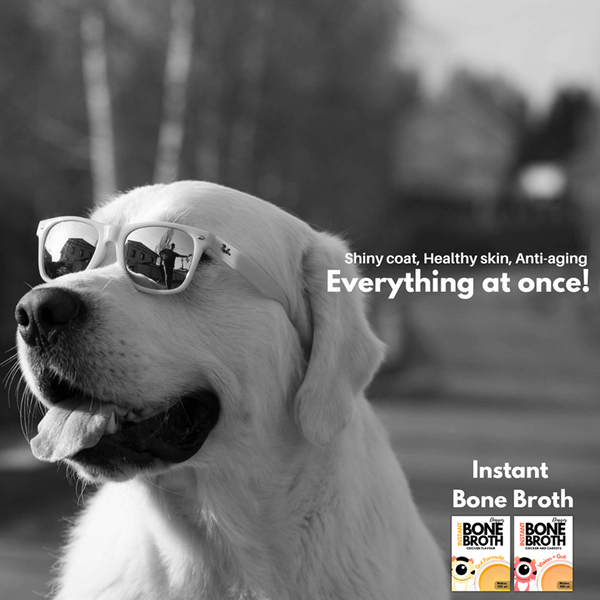 Doggos Instant Chicken and Carrots Bone Broth Gut and Vision Formula (Makes 100ml) for Cats and Dogs