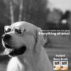 Doggos Instant Chicken and Carrots Bone Broth Gut and Vision Formula (Makes 100ml) for Cats and Dogs Dog Treats + Others Doggos