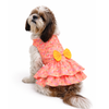 Pawgypets Softy Casual Dress for Dogs (Peach) Dogs-Clothing & Accessories Pawgypets Dropship