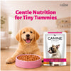 Canine Creek Real Chicken Gravy Puppy Wet Food Dogs-Wet Food Canine Creek