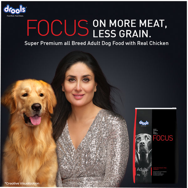 Drools Focus Super Premium Adult Dog Dry Food | Corn & Wheat Free Formula