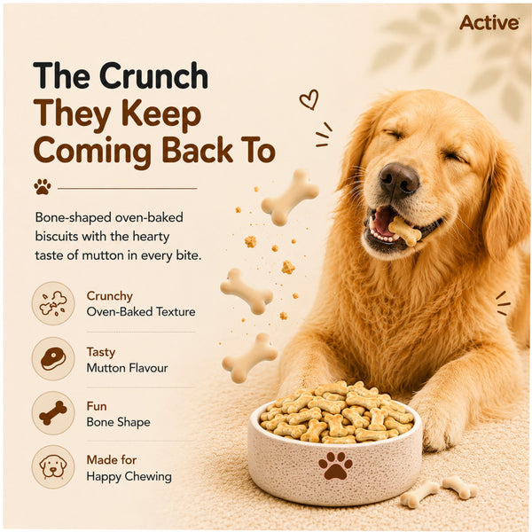 Active Mutton & Vegetable Flavour Biscuit Dog Treats (Buy 1 Get 1)