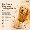 Active Mutton & Vegetable Flavour Biscuit Dog Treats (Buy 1 Get 1) Dog Treats + Others Active