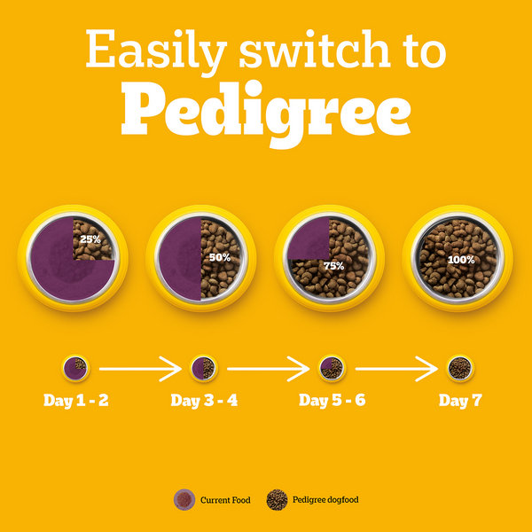 Pedigree New Healthy Belly Adult Dog Dry Food