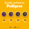 Pedigree New Healthy Belly Adult Dog Dry Food Dogs- Dry Food Pedigree
