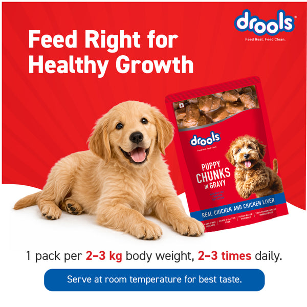 Drools Real Chicken & Chicken Liver Chunks in Gravy Adult Dog Wet Food (60g)