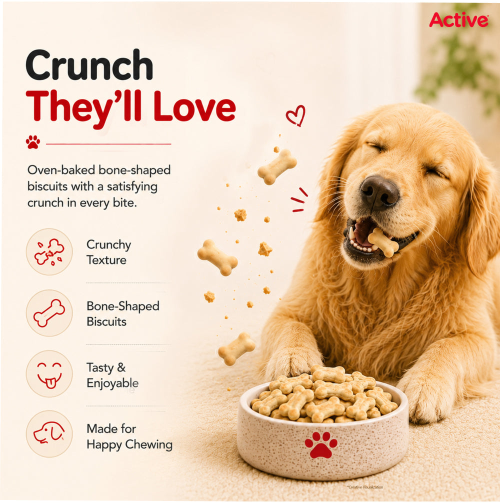 Active Chicken and Vegetables Biscuit Dog Treats (Buy 1 Get 1) Dog Treats + Others Active