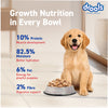 Drools Real Chicken & Chicken Liver Chunks in Gravy Puppy Dog Wet Food Dogs-Wet Food Drools