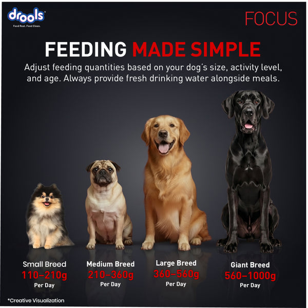 Drools Focus Super Premium Adult Dog Dry Food | Corn & Wheat Free Formula