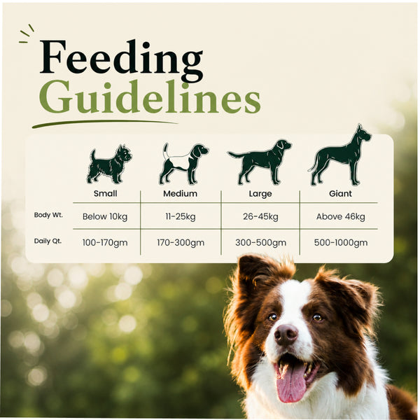 Canine Creek Ultra Premium Adult Dog Dry Food