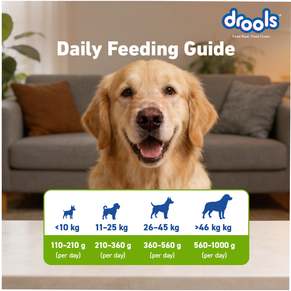 Drools 100% Vegetarian Puppy and Adult Dog Veg Dry Food (All Life Stages) Dogs- Dry Food Drools