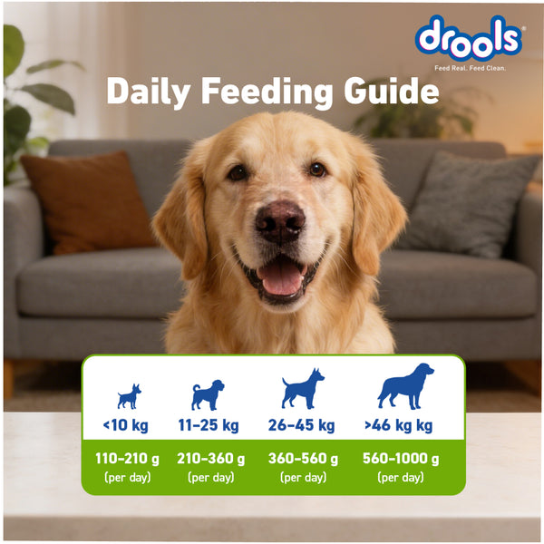 Drools 100% Vegetarian Puppy and Adult Dog Veg Dry Food (All Life Stages)