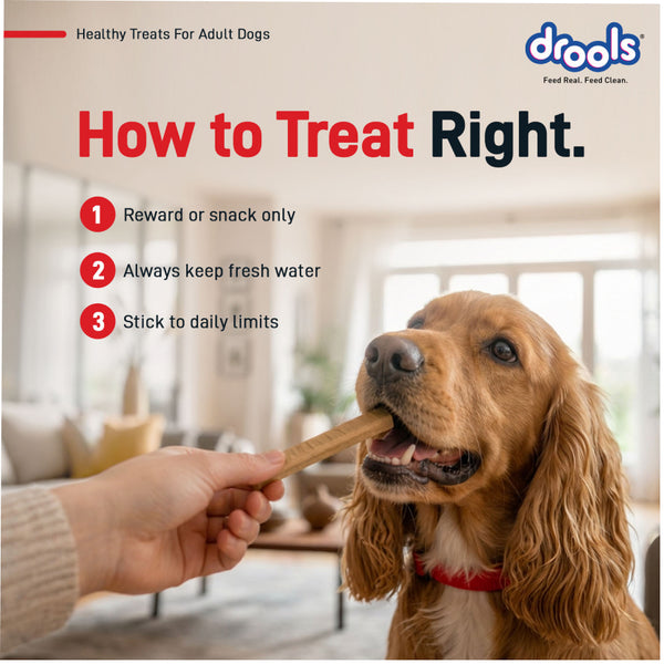 Drools Chicken Sticks Dog treats