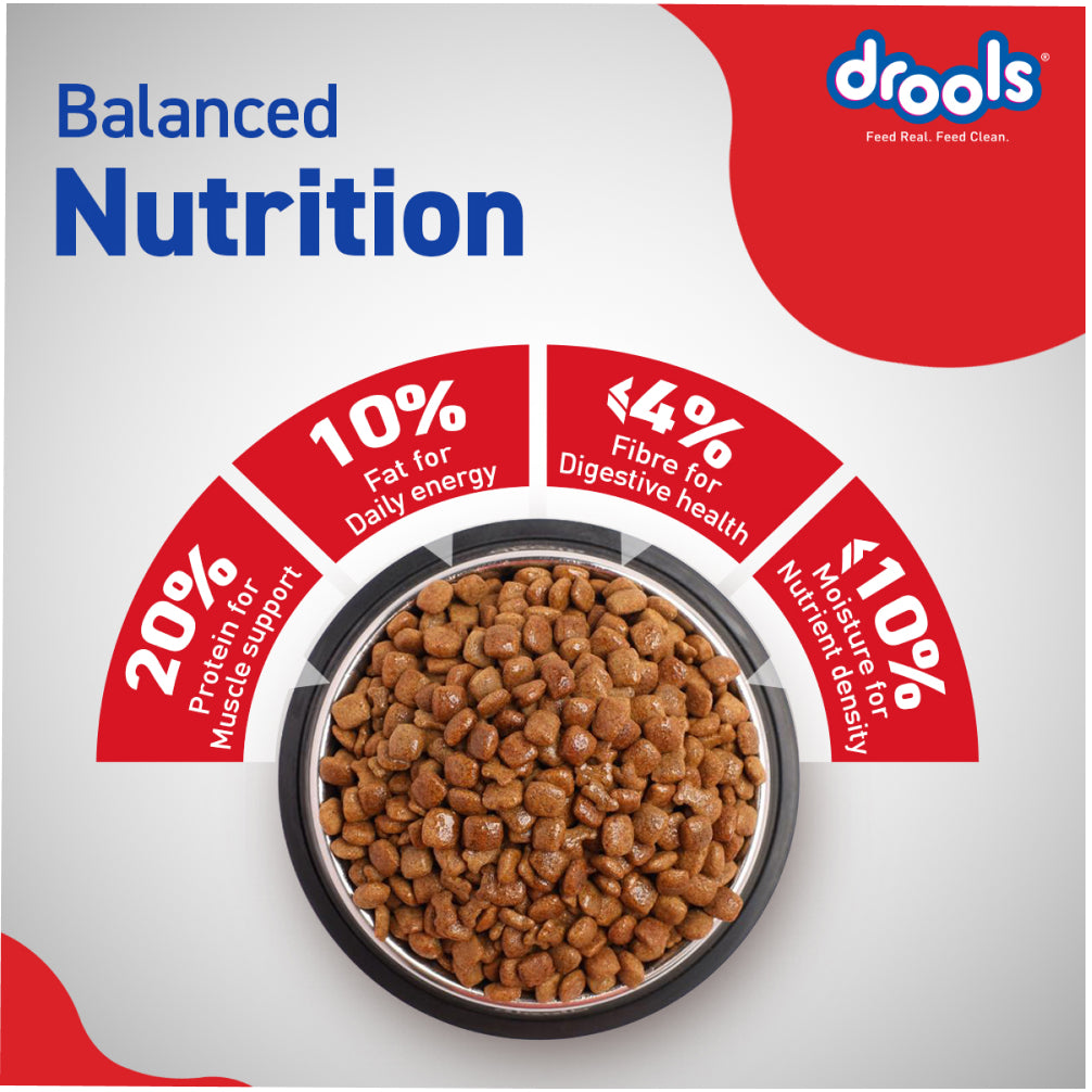 Drools Chicken and Egg Adult Dog Dry Food Dogs- Dry Food Drools