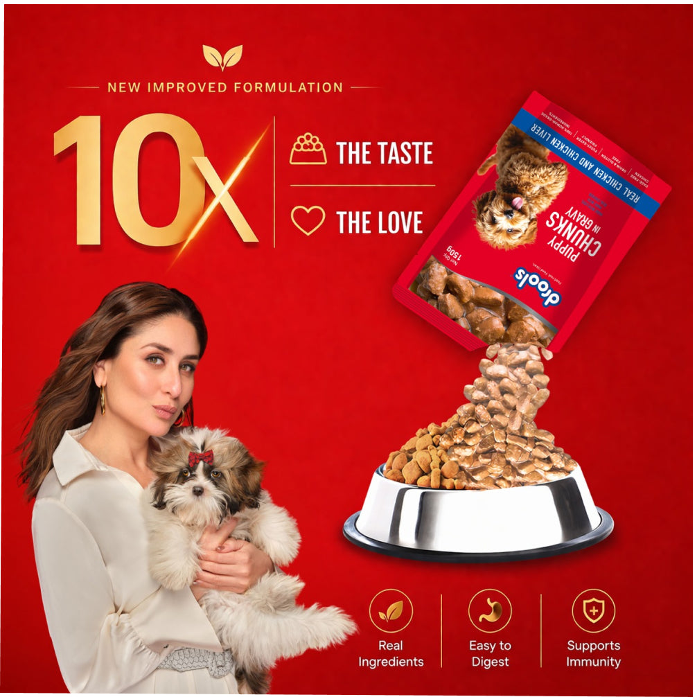 Drools Real Chicken & Chicken Liver Chunks in Gravy Puppy Dog Wet Food Dogs-Wet Food Drools