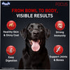 Drools Focus Super Premium Adult Dog Dry Food | Corn & Wheat Free Formula Dogs- Dry Food Drools Focus