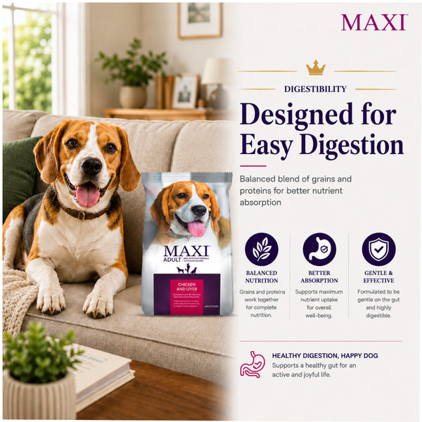 Maxi Adult Chicken and Liver Dog Dry Food