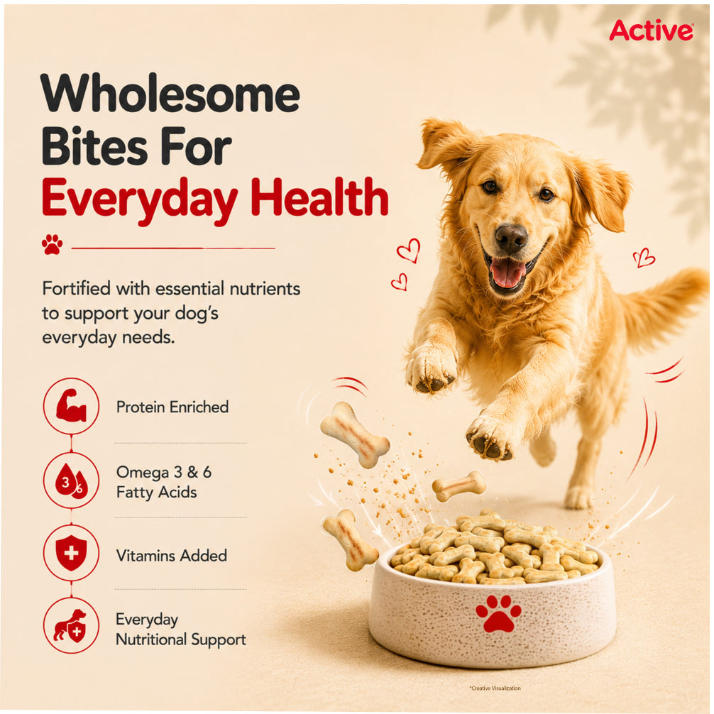 Active Chicken and Vegetables Biscuit Dog Treats (Buy 1 Get 1) Dog Treats + Others Active