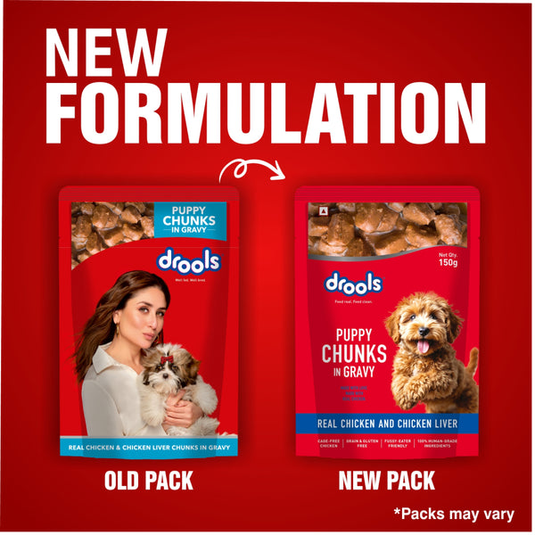Drools Real Chicken & Chicken Liver Chunks in Gravy Adult Dog Wet Food (60g)