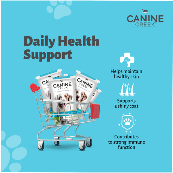 Canine Creek Real Chicken Gravy Adult Dog Wet Food