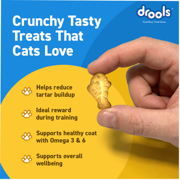Drools Biscuit Cat Treat