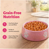 Canine Creek Real Chicken Gravy Puppy Wet Food Dogs-Wet Food Canine Creek