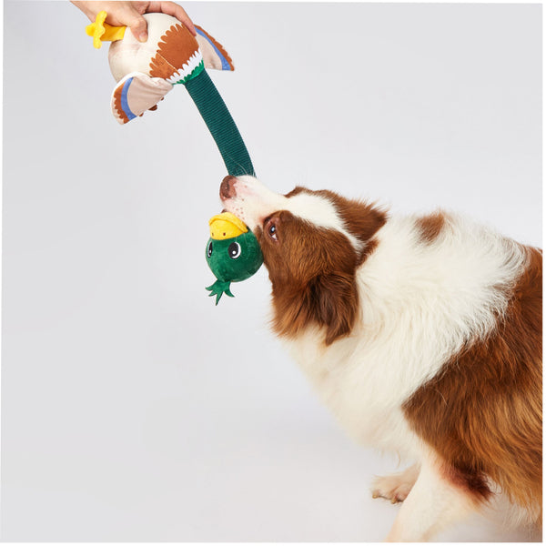 Fofos Mallard Long Neck Crinkle Plush Toy for Dogs
