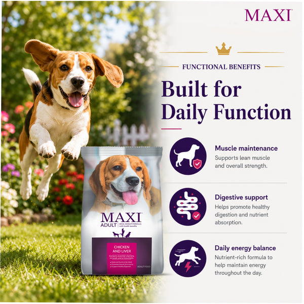 Maxi Adult Chicken and Liver Dog Dry Food